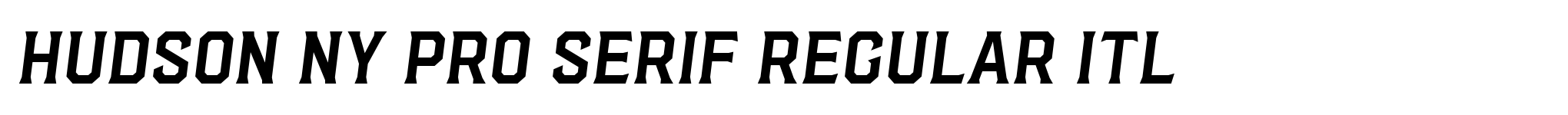 Hudson NY Pro Serif Regular Itl image